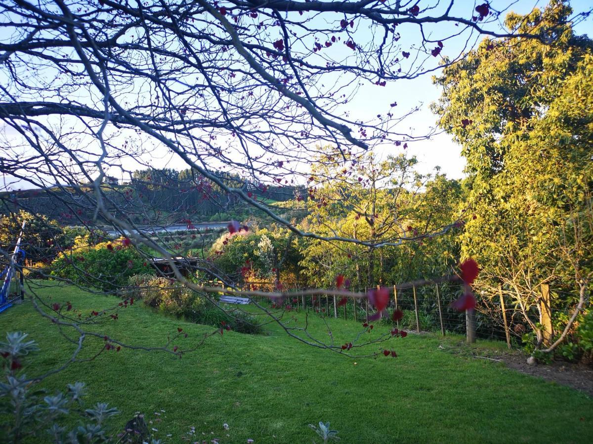 Whakamarama River Side Lodge المظهر الخارجي الصورة