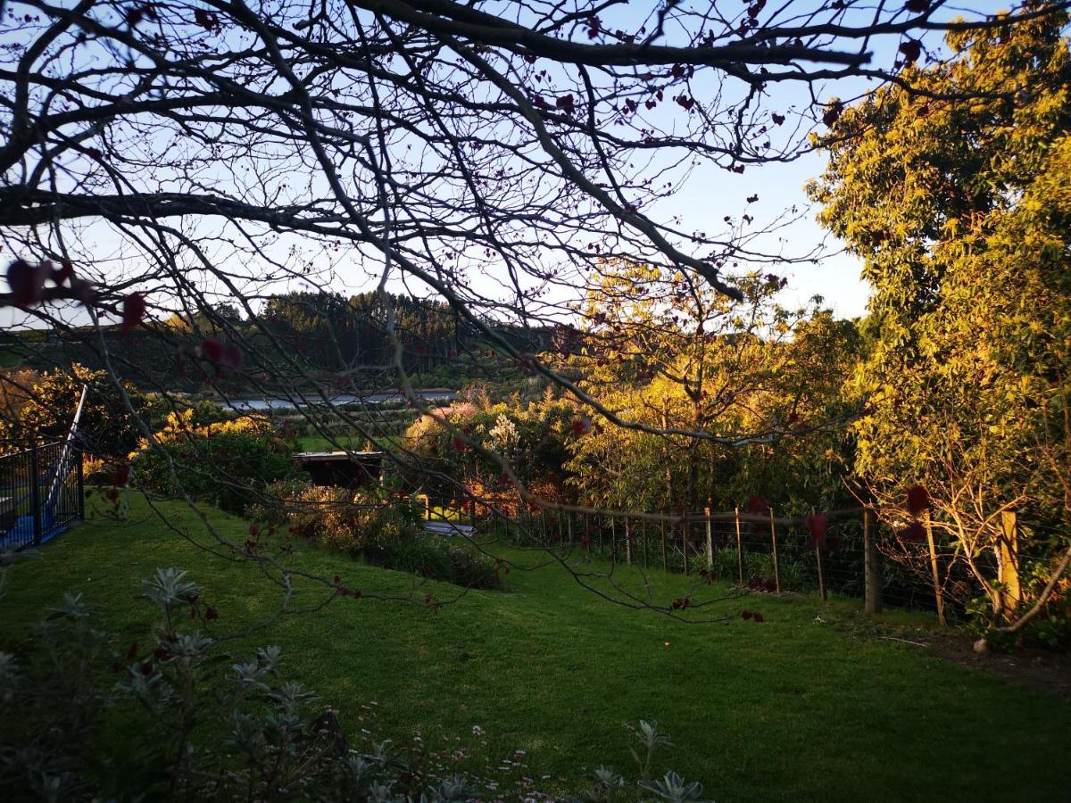 Whakamarama River Side Lodge المظهر الخارجي الصورة